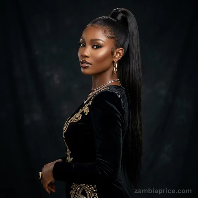 26" 360 Lace Wig (Straight) in Zambia